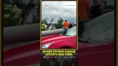 Severe storms, including a tornado, causes widespread destruction in New York | WION Shorts