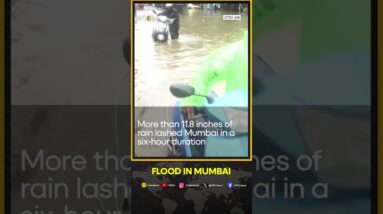 Monsoon rains flood India's financial capital Mumbai | WION Shorts