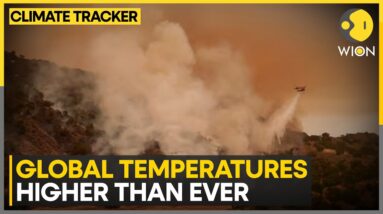 US heatwave: Earth's temperature 1.5 degrees celcius higher than average | WION Climate Tracker