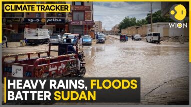 Floods follow Sudan; increased difficulty in the war-affected nation | WION Climate Tracker