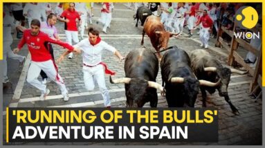 'Running of the bulls' adventure at San Fermin festival | Latest English News | WION