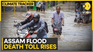 Assam floods: Death toll rises to 66, over 2.2 million people displaced | WION Climate Tracker