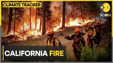 Park fire sweeps through California, 125,000 acres scorched in 48 hours | WION Climate Tracker