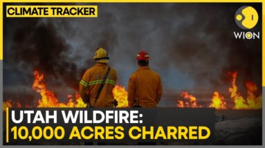 US | Utah wildfire: Air tankers & helicopters deployed for rescue mission | WION Climate Tracker