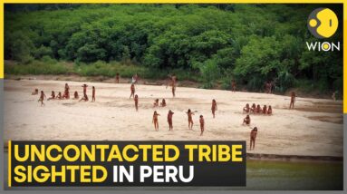 Peru: Uncontacted tribe Mashco Piro seen in Peruvian Amazon where loggers are active | WION