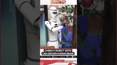 Gravitas: Chinese scientists develop robot with lab-grown human brain | Gravitas Shorts