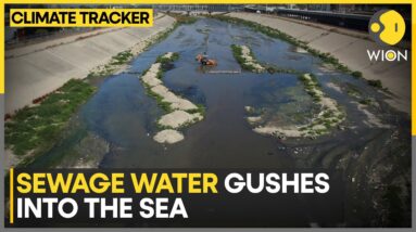 Sewage threat in South of US-Mexico border | WION Climate Tracker