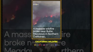 Massive wildfire in Northern California leads to evacuations | WION Shorts