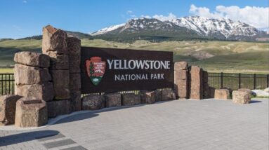 Suspect dead after shooting at Yellowstone National Park