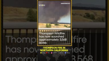 Thompson fire in Northern California prompts evacuations | WION Shorts