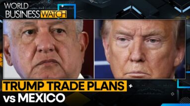 Trump targets Mexican car imports after China | World Business Watch