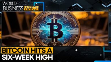 Trump's Crypto agenda boosts Bitcoin bets | World Business Watch