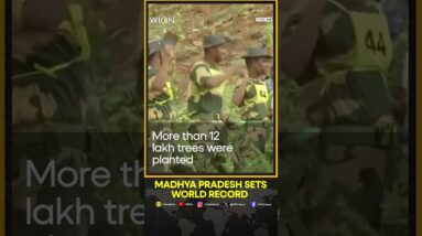 India's MP sets world record of planting over 11 lakh saplings in a day | WION Shorts