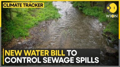 UK's new water bill to control sewage spills | WION Climate Tracker