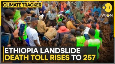 UN: Ethiopia landslide death toll could reach 500 | WION Climate Tracker