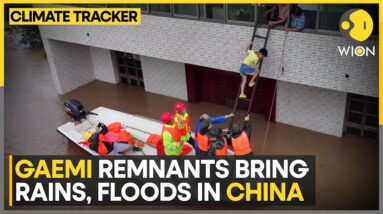 Typhoon Gaemi: Rains spur evacuation of hundreds in China's Southern province | WION Climate Tracker