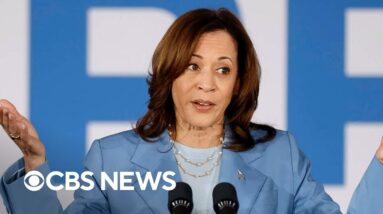 Vice President Harris maintains that Biden will beat Trump again