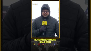 WION reports from Russian Northern sea route | WION Shorts