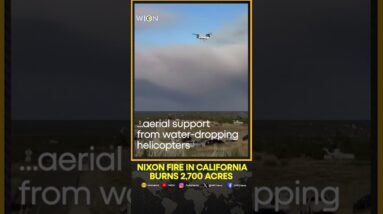 California Wildfire: Nixon Fire in California burns 2,700 acres, forces evacuations | WION Shorts