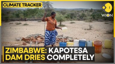 Zimbabwe hit by a severe drought | WION Climate Tracker