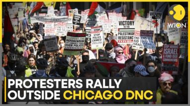 DNC 2024: Calls to end Israel's Gaza occupation outside DNC | World News | WION