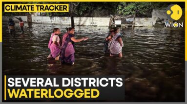 India's Gujarat under red alert for heavy rain | WION Climate Tracker | WION News