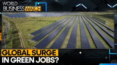 Clean energy jobs rose by 4.2% compared to last year | World Business Watch | WION News