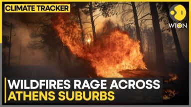 Greece Wildfires: One dead as wildfires rage across Athens suburbs | WION Climate Tracker