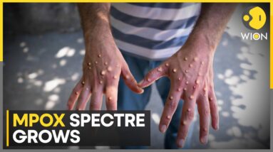 MPOX Outbreak: Thailand reports first case of MPOX | Latest English News | WION