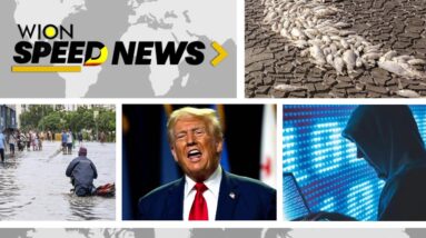 Chinese hackers target US firms | Northern Mexico hit with drought | Speed News | WION News