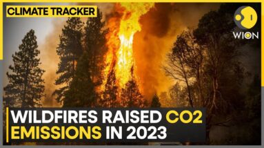 Wildfires raised 8.6 billion tonnes of CO2 emissions in 2023: Study | WION Climate Tracker