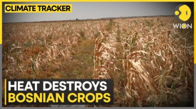 Agricultural land baked by extreme weather | WION Climate Tracker