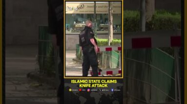 'Islamic State' group claims responsibility for the deadly knife attack in Germany | WION Shorts