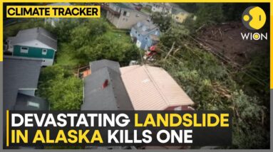 Landslide leaves dozens of homes damaged | WION Climate Tracker | WION News