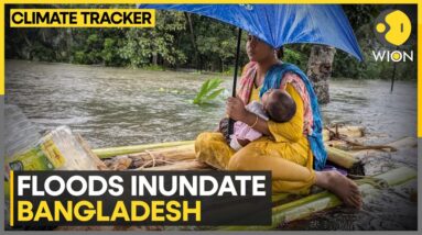 At least 20 killed in Bangladesh floods | WION Climate Tracker | WION News