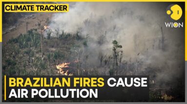 Brazilian forest fires cause toxic air pollution | WION Climate Tracker