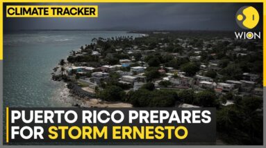 Schools shut, workers sent home in Puerto Rico | WION Climate Tracker | WION