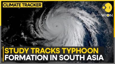 Climate change is raisin intensity of typhoon | WION Climate Tracker