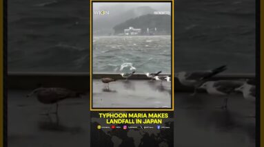 Strong wind, rain sweeps across Japan as Typhoon Maria makes landfall | WION Shorts