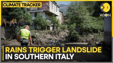 Landslide in Italy: Firefighters search for mother & son duo | WION Climate Tracker