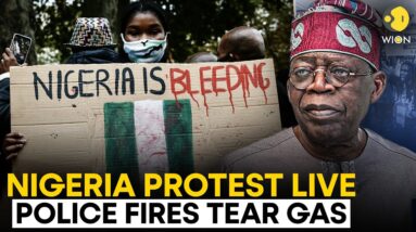 Nigeria Protest LIVE: Police on Red Alert in Nigeria, may seek army help amid violent protest | WION