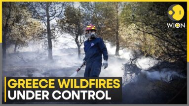 Greece: Firefighters successfully tackle wildfire | Latest English News | WION