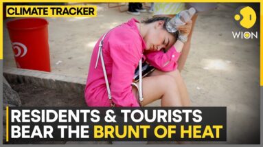 Europe swelters in heatwave | Latest on WION | WION Climate Tracker