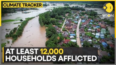 Flash floods in Northern Thailand kills 5 | WION Climate Tracker