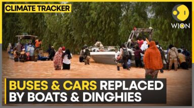 Floods turn roads to rivers in Niger | WION Climate Tracker