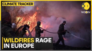 Firefighters battle blaze in Southern Spain | Latest News | WION Climate Tracker