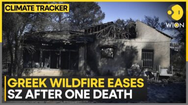 Greece: Wildfire leaves trail of destruction | WION Climate Tracker