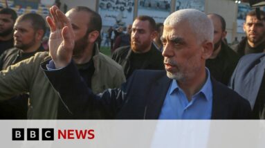 Hamas names Yahya Sinwar as new leader | BBC News