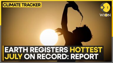 Heat killed nearly 50,000 in Europe in 2023 | WION Climate Tracker | WION