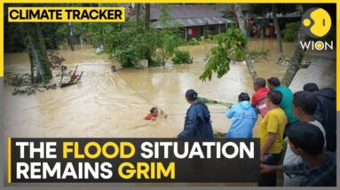 Heavy rains trigger floods in India's Tripura | WION Climate Tracker